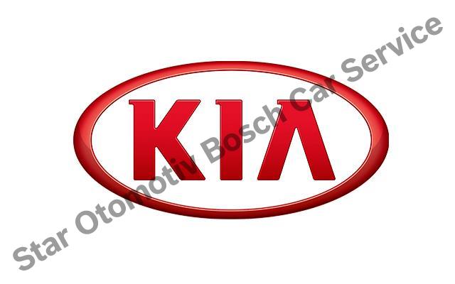 Büyükçekmece Kia Servisi